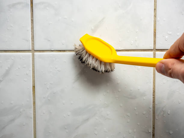 Best Mold Damage Repair  in Pryor Creek, OK