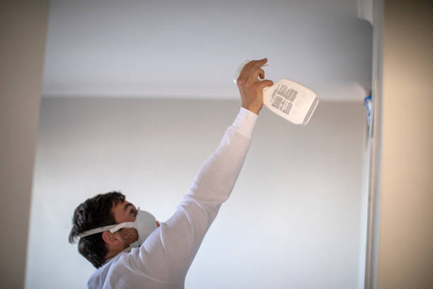 Best Certified Mold Removal  in Pryor Creek, OK