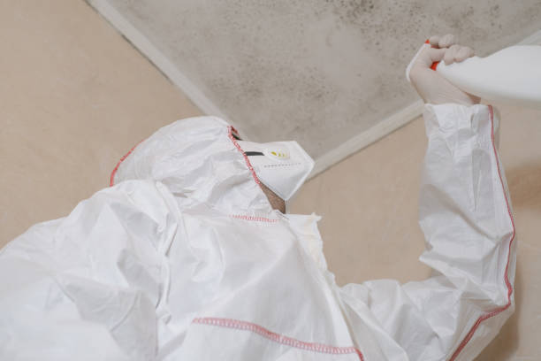 Best Office Mold Removal Services  in Pryor Creek, OK