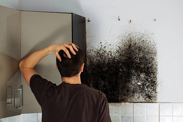 Best Professional Mold Removal  in Pryor Creek, OK