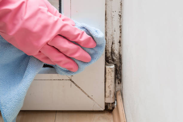 Home Mold Removal in Pryor Creek, OK