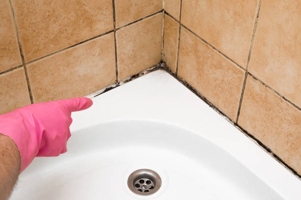 Reliable Pryor Creek, OK Mold Removal Solutions